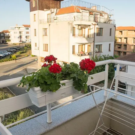 Hiora Vasiliko * 茨雷沃